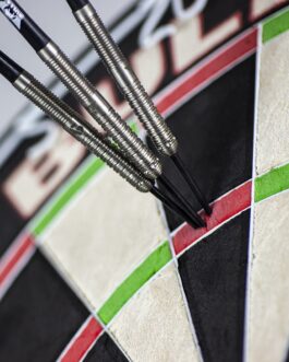 Bull’s Adam Gawlas E2 90% dartpijlen