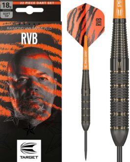 Target Raymond van Barneveld Brass 22 gram