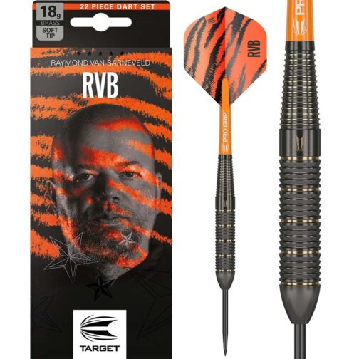 Target Raymond van Barneveld Brass 22 gram