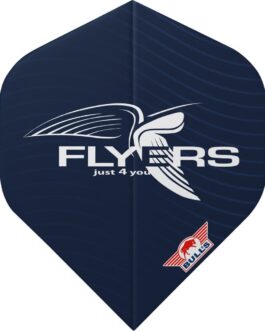 Bull’s Player 100 Richard Veenstra No.2 flights