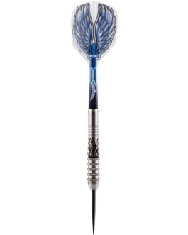 Shot Birds of Prey Kite 80% dartpijlen