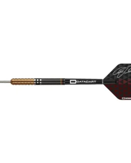 Datadart Christian Bunse Black/Gold 90% dartpijlen
