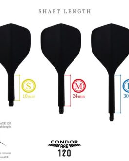 Condor AXE 120 Trifin No. 2 Flights