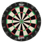 Shot Bandit Professional Dartboard