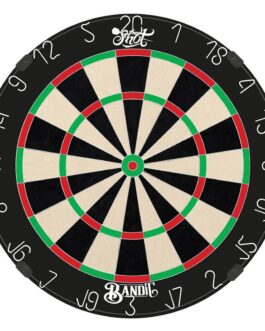 Shot Bandit Professional Dartboard