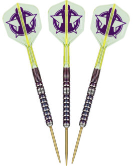Target Luke Littler World Champion 90% Swiss 23 Gram dartpijlen