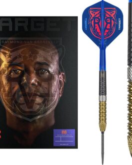 Target Raymond van Barneveld G6 95% Swiss dartpijlen