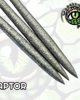 Jurassic Points raptor