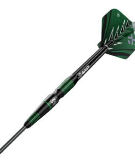 Bull’s Brian Raman G2 dartpijlen