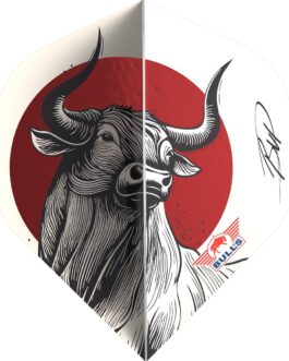 Bull’s Design 100 Rising Bull No.2 Flights