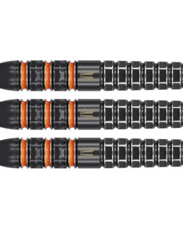 Target Raymond van Barneveld RVB 95K SP Steeltip 95%