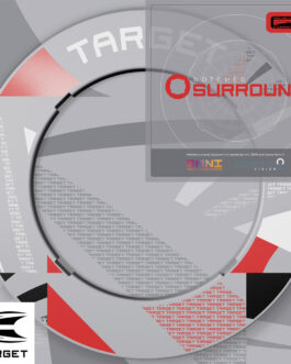 Target Patterned Notched Dartboard Surround