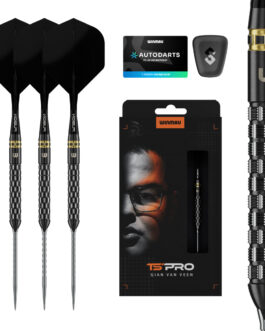 Gian van Veen TS-PRO 90% Switch Point Dartpijlen