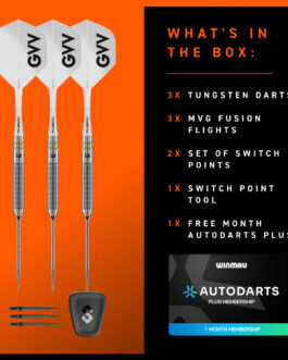 Gian van Veen W-Max 90% Switch Point Dartpijlen